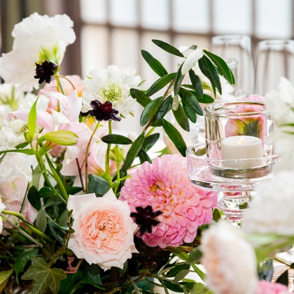 スタジオファンタスが撮影した「:albumName」の写真