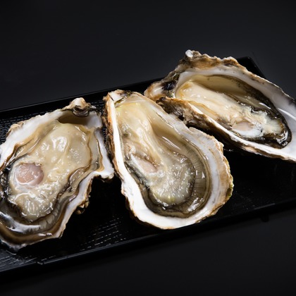 kentarou shimizuが撮影した料理撮影の写真