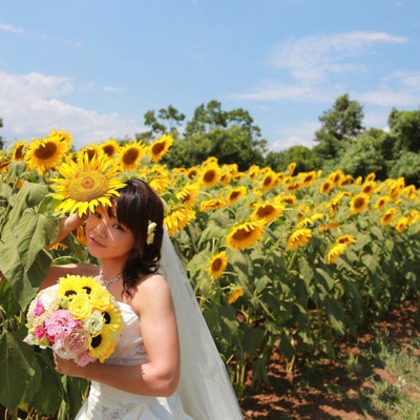 セリエドレッシングが撮影したウェディングや家族、ビジネスの写真