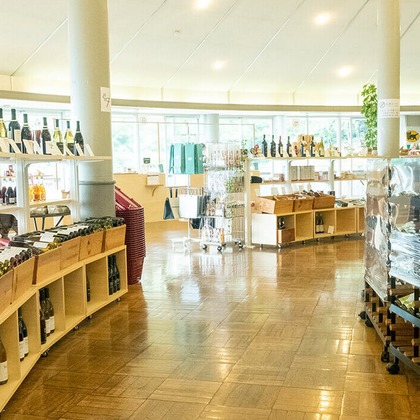 腰山大雅が撮影した「:albumName」の写真