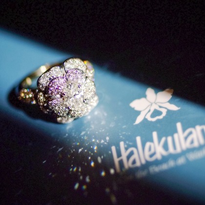 éclat photographyが撮影したウェディングや家族、ビジネスの写真