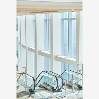 倉木ノエルが撮影した「:albumName」の写真