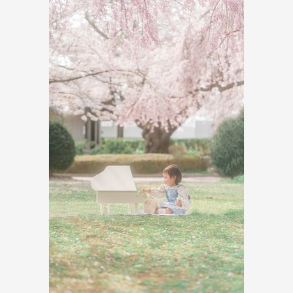 スタジオアルパルカが出張撮影した虎, 虹彩, くまが写った家族写真の出張撮影の写真