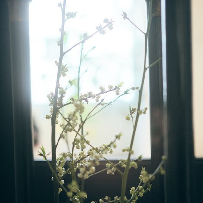 studio TOMWORKSが撮影した「:albumName」の写真