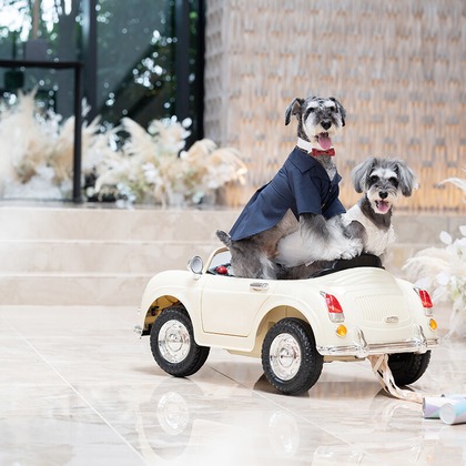 UEKIが撮影した「:albumName」の写真