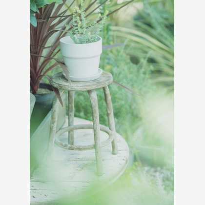 Yoppegraphy Photographic Serviceが撮影した「:albumName」の写真