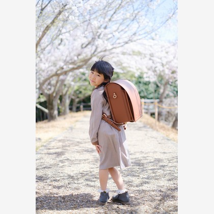 高夏写真店が出張撮影した荷物とバッグ, 記念写真, 家族写真が写った学校行事の写真