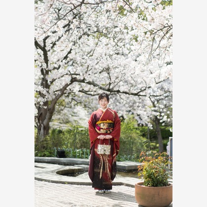 山口　竜が撮影したその他/成人式撮影の写真