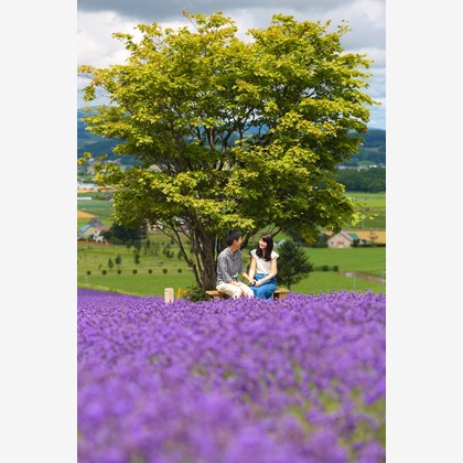 Wedding, Bridal Photos taken by studio-j