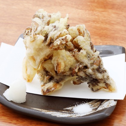 森安　照が撮影した「:albumName」の写真