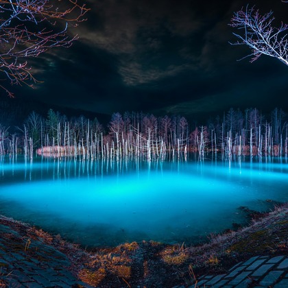 高木勇斗が撮影した「:albumName」の写真