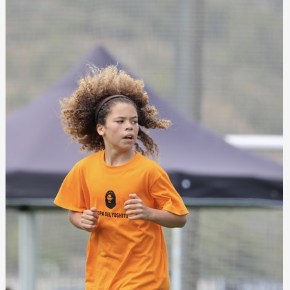 えむあんりみてっどが撮影したウェディングや家族、ビジネスの写真