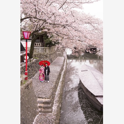 STUDIO NOUVEAU（スタジオ ヌーボ）が撮影したウェディングや家族、ビジネスの写真