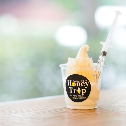 Hajime no Ai Photographyが撮影したウェディングや家族、ビジネスの写真