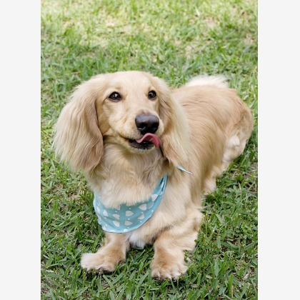 森安　照が撮影した「:albumName」の写真