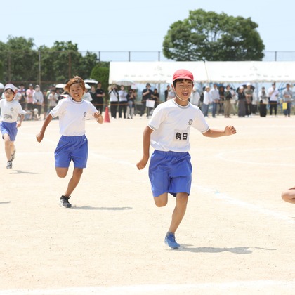 HARAデザインが撮影したウェディングや家族、ビジネスの写真