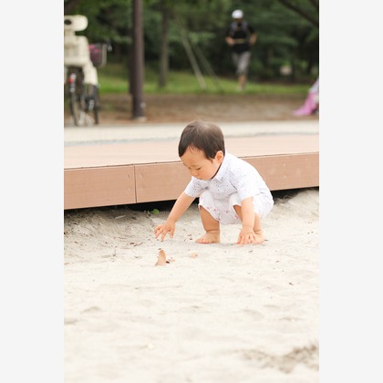 今井写真事務所　今井　良が撮影した「:albumName」の写真