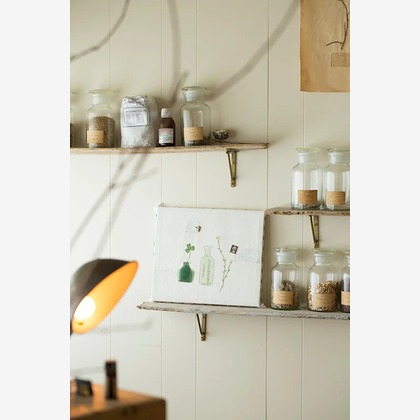 白井由香里写真事務所が撮影した「:albumName」の写真