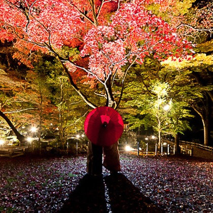 photo 4 u（塙田 基伸）が撮影した「:albumName」の写真