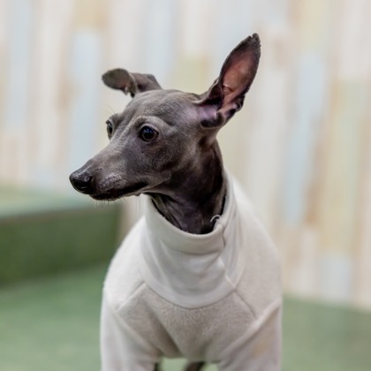 沖山俊樹が撮影した「:albumName」の写真