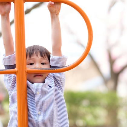 高野和希が撮影した家族写真の出張撮影の写真