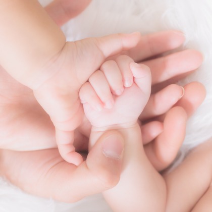 合同会社PHOTO FACTORY LARが撮影した「:albumName」の写真