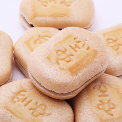 森安　照が撮影したウェディングや家族、ビジネスの写真