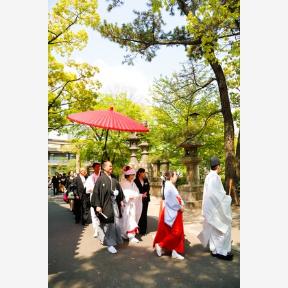 tumiki photoが撮影したウェディングや家族、ビジネスの写真