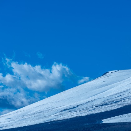 スタジオファンタスが撮影した「:albumName」の写真