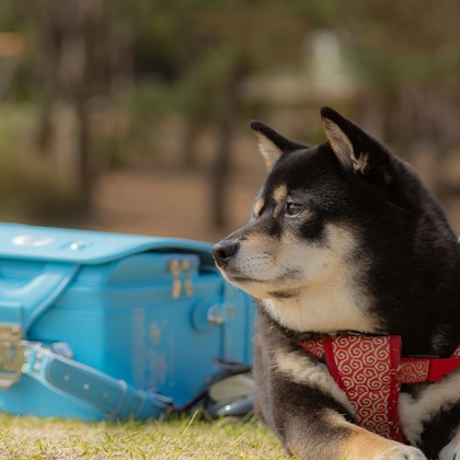 上ノ園　芳樹が撮影した「:albumName」の写真