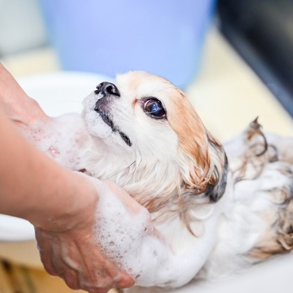 出張撮影 中村まみこが撮影した店舗/オフィス/サロン撮影の写真