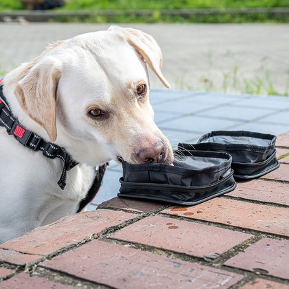 吉田佳央が撮影した「:albumName」の写真