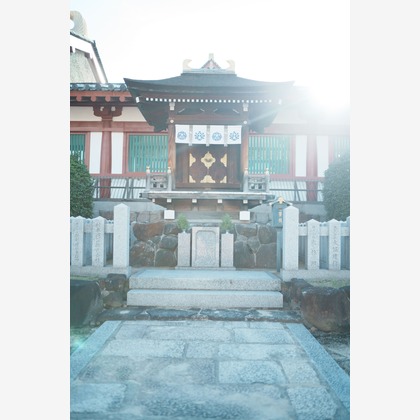 杏度りゅうが撮影した「:albumName」の写真