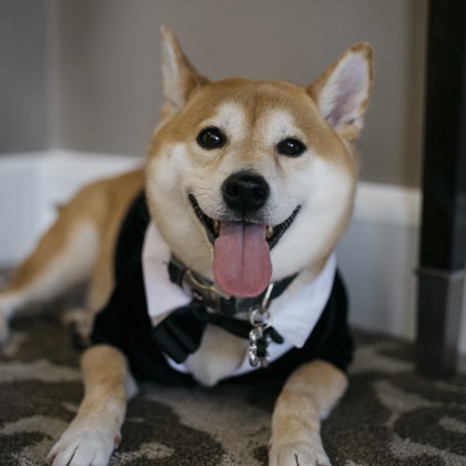 Photo of  taken by yuri uemura