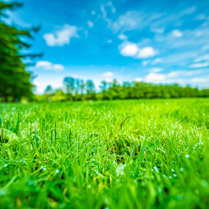 高木勇斗が撮影した「:albumName」の写真