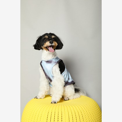 O.C.Photo.Studioが撮影したウェディングや家族、ビジネスの写真