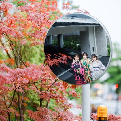 有限会社ワイヤリングが撮影した「:albumName」の写真