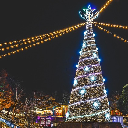 いんかが撮影したその他の写真