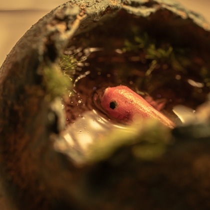 JunkArtが撮影した人物撮影の写真