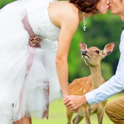 Photo of :albumName taken by 2 of us photography