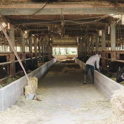 studio cactusが撮影した「:albumName」の写真