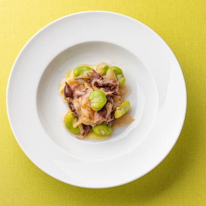 猫田晃広が撮影したウェディングや家族、ビジネスの写真