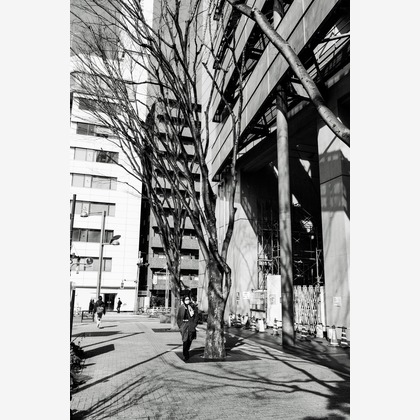 KotobukiPhotosが撮影した「:albumName」の写真