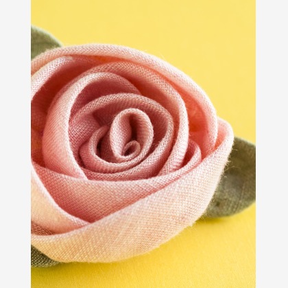 有光こうじ写真事務所が撮影した「:albumName」の写真