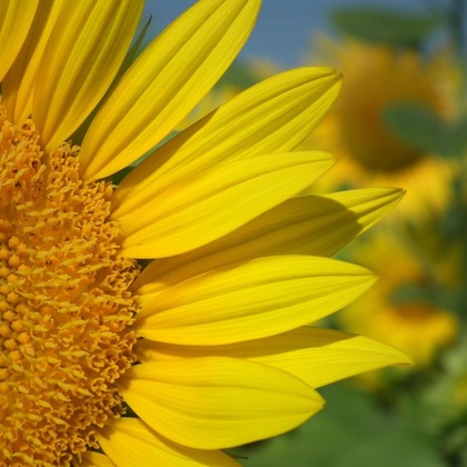 Photo BASEが撮影した「メニュー撮影、物撮り、イメージ」の写真