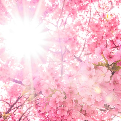 高木勇斗が撮影したその他の写真