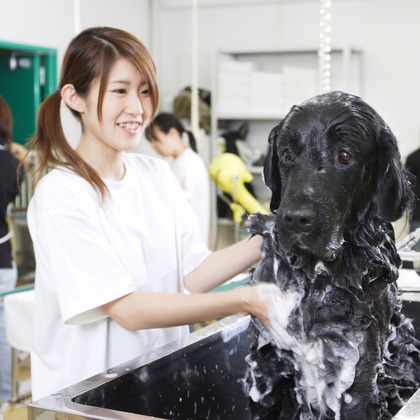 森安　照が撮影した「:albumName」の写真