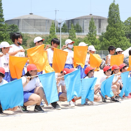 HARAデザインが撮影したウェディングや家族、ビジネスの写真