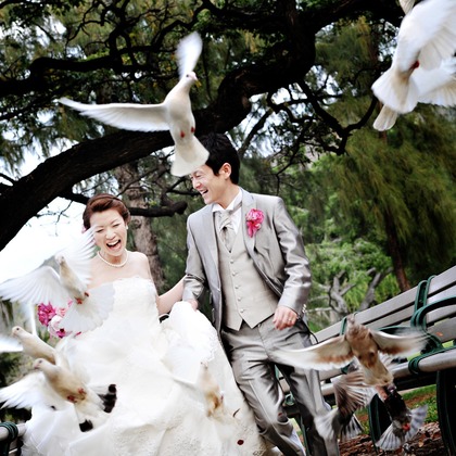 éclat photographyが撮影したウェディングや家族、ビジネスの写真