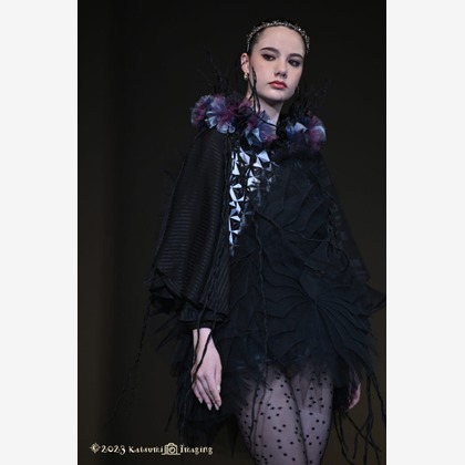 有限会社フリーディメンション　田中勝巳が撮影した「:albumName」の写真